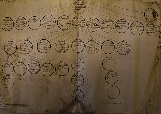 Árbore xenealóxica de A Senra - Escuadro